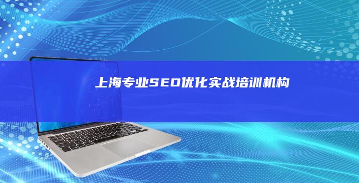 上海专业SEO优化实战培训机构